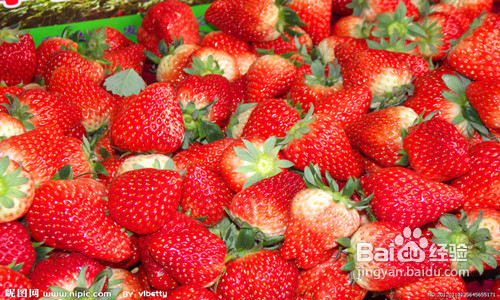 长痘痘怎么办【面膜篇】