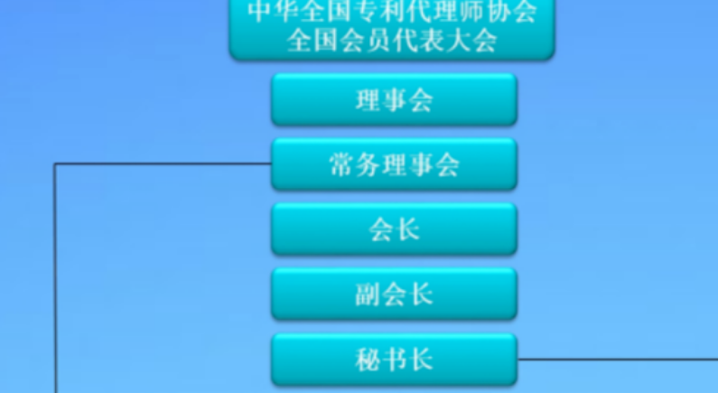 协会的组织架构及职责是什么