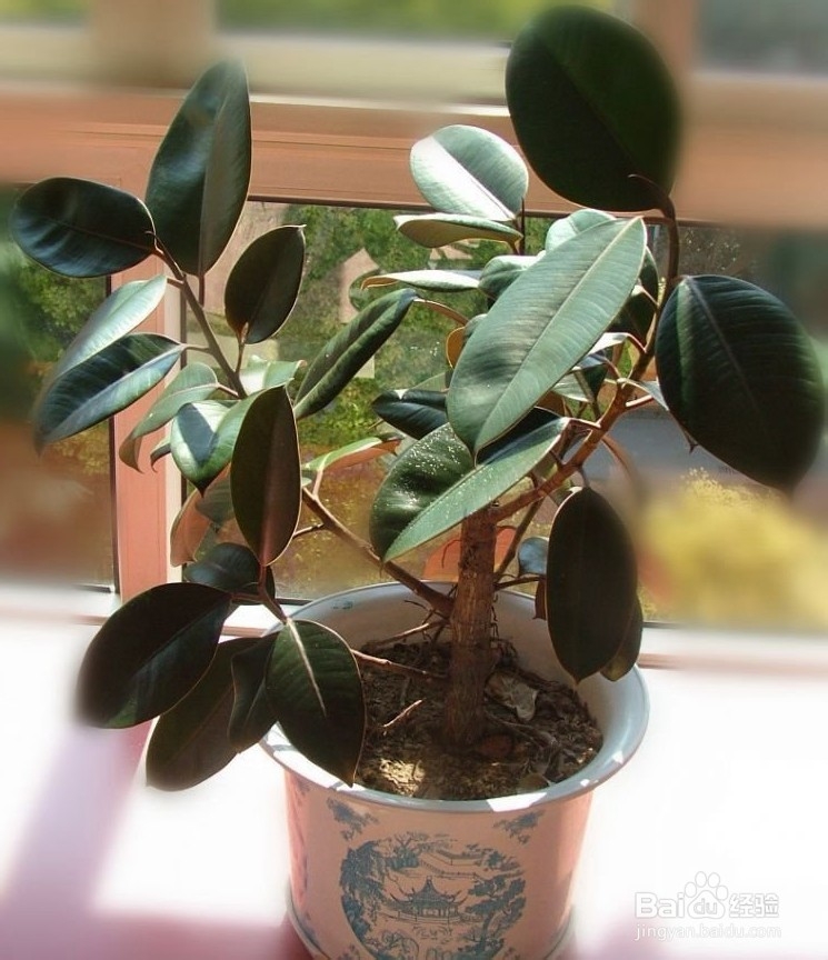 百色到张家界自驾游