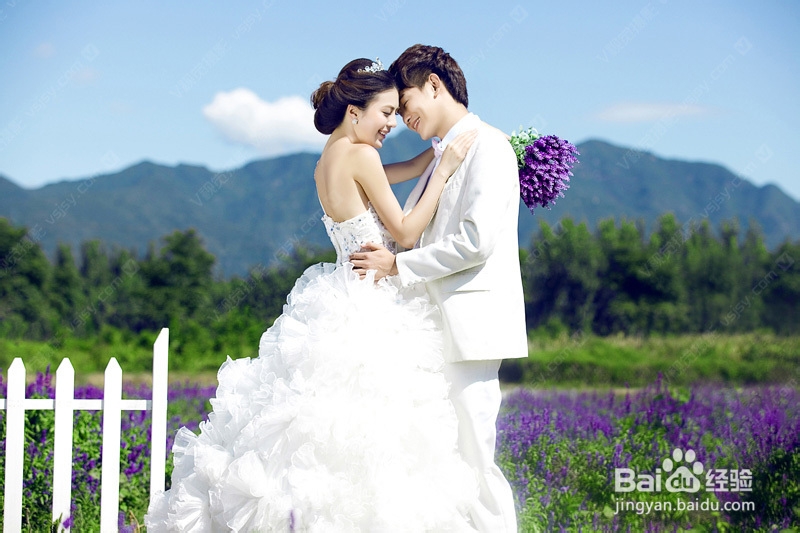 花海婚纱摄影哪里拍的好