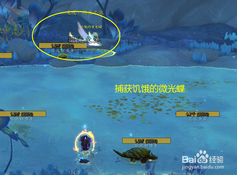 魔兽世界任务如何捕获微光蝶