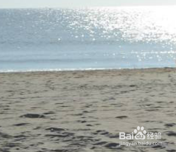 利用PS软件，P掉不需要的人物/物体