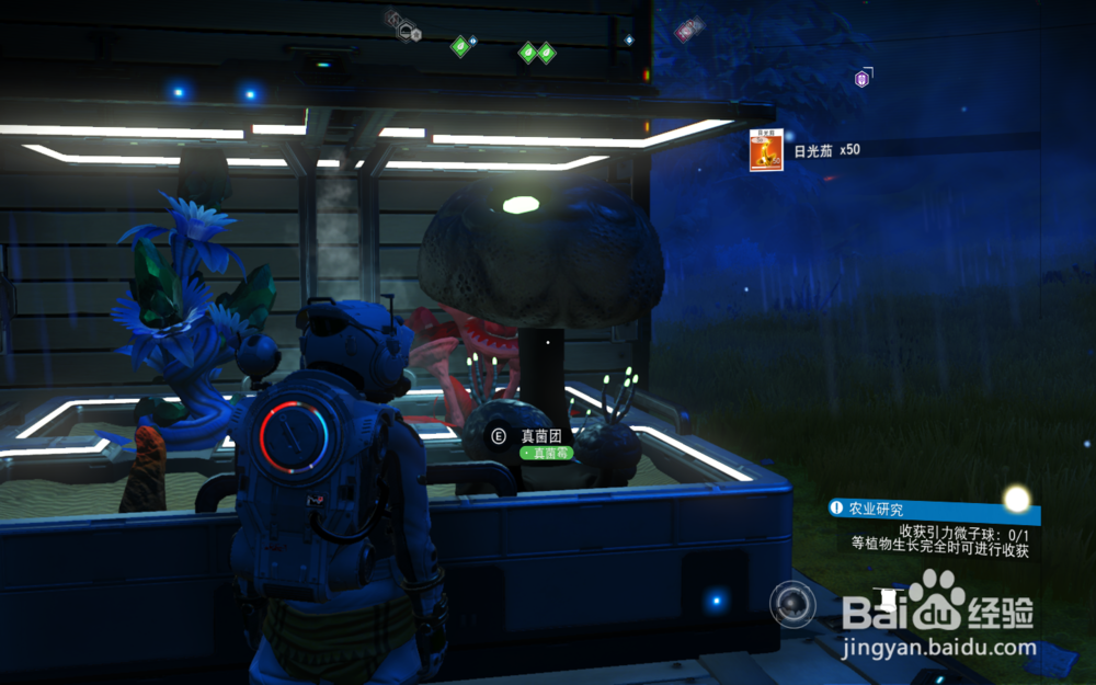 无人深空怎么开始种植农业？