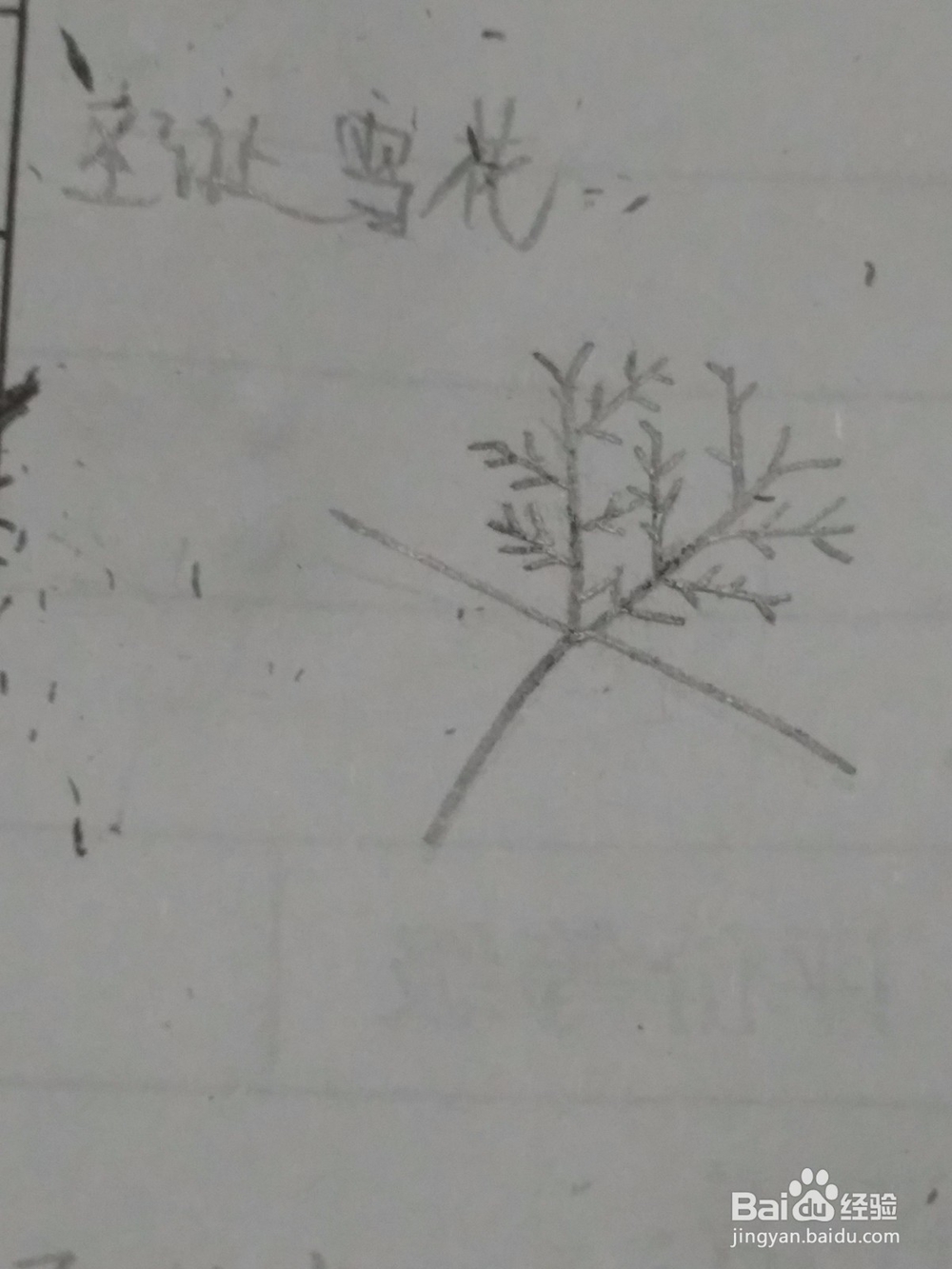 雪花 简笔画步骤教程