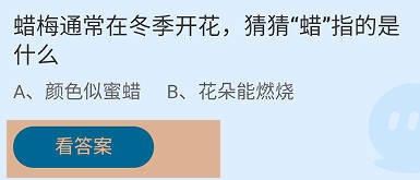 蜡梅通常在冬季开花，蜡指的是什么？蚂蚁庄园