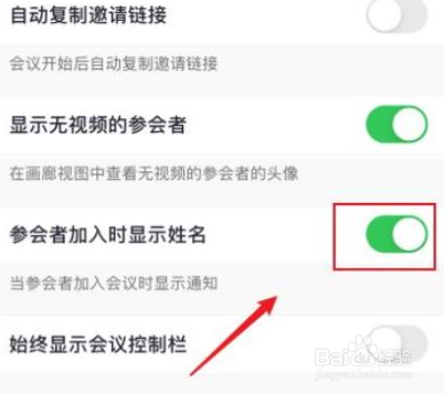 Zoom如何关闭名字显示