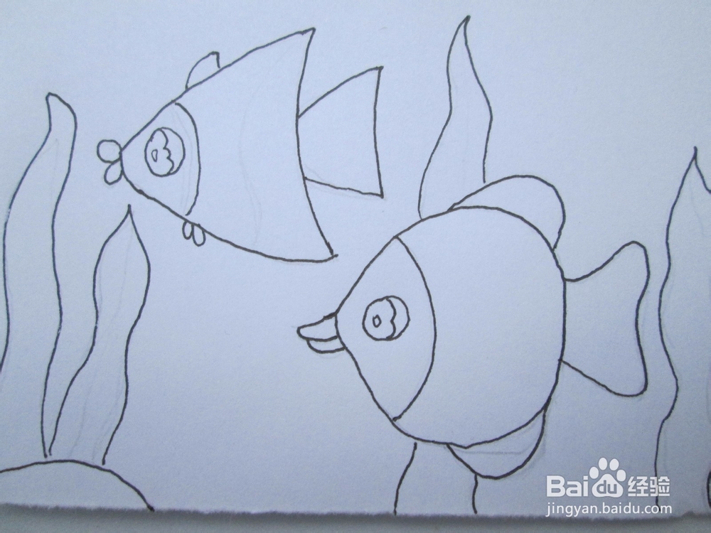 黑白线描画《美丽的鱼儿》的作画步骤