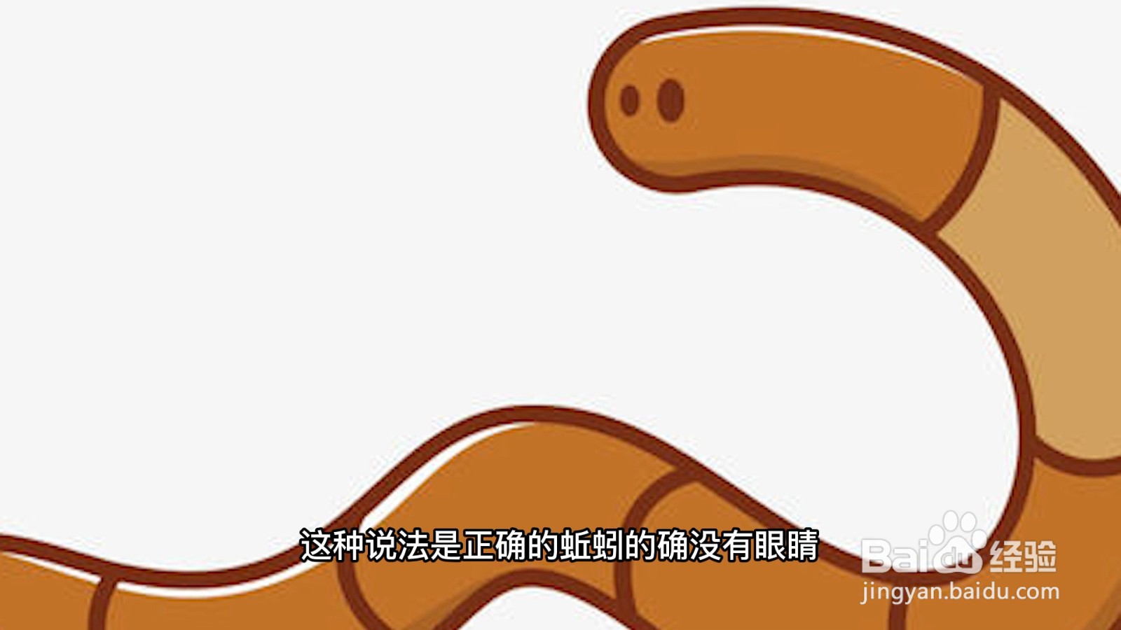 蚯蚓没有眼睛这种说法是