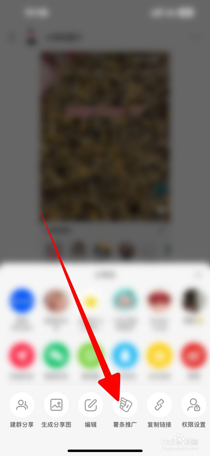 小红书怎么进行推广