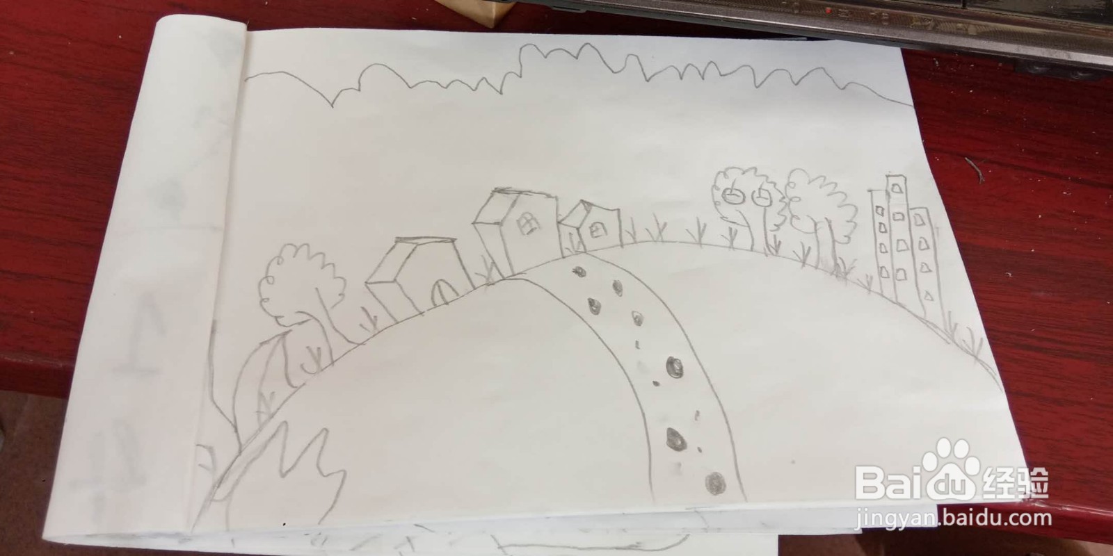 我与森林共呼吸手抄报