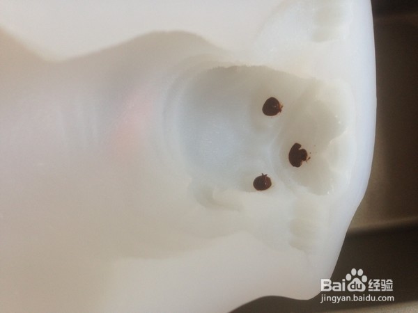 3D沙皮狗慕斯蛋糕