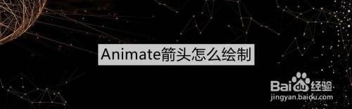 Animate箭头怎么绘制