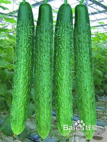 一白遮百丑美白蔬菜大搜罗