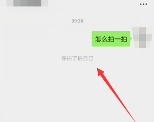 微信拍一拍自己会显示吗