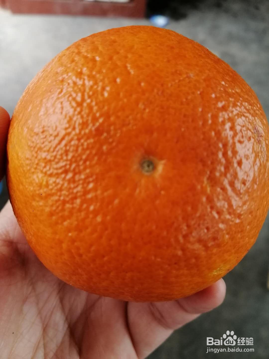 如何给宝宝喂药