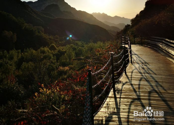漫山花溪谷一日游攻略