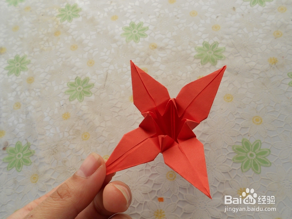 百合花是如何折的