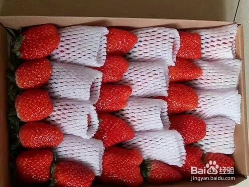怎么包装草莓
