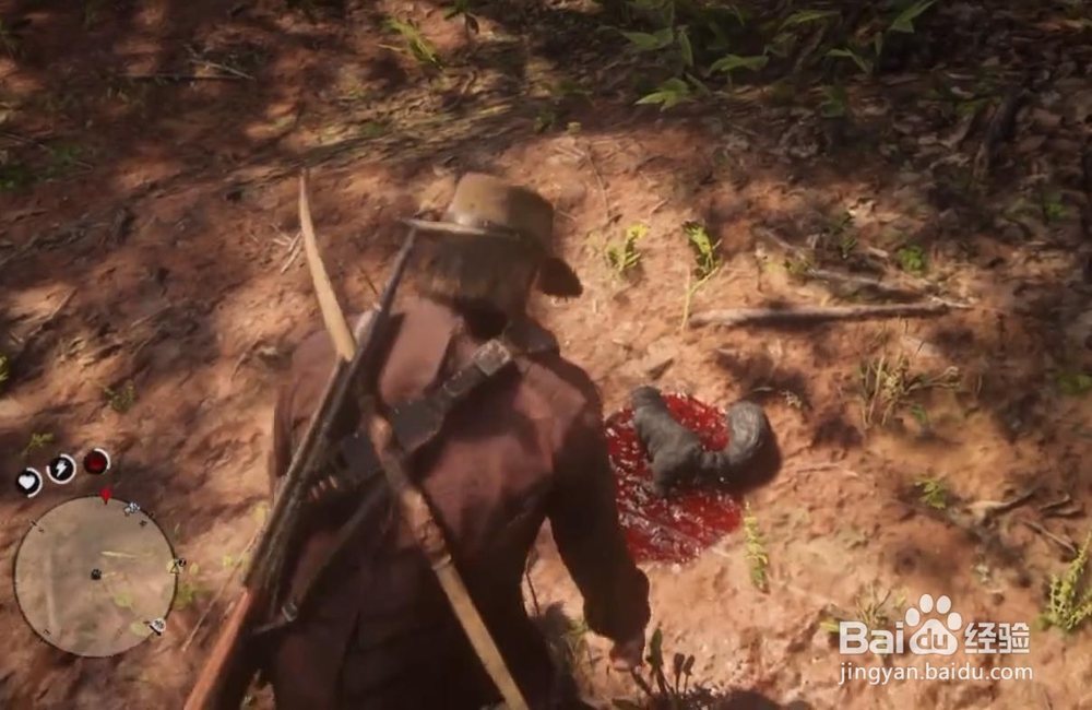 荒野大镖客2 松鼠标本位置一门艺术奖杯获得方法