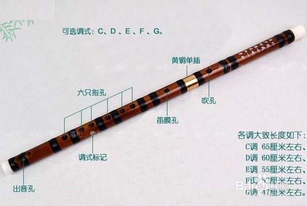 笛子基础知识