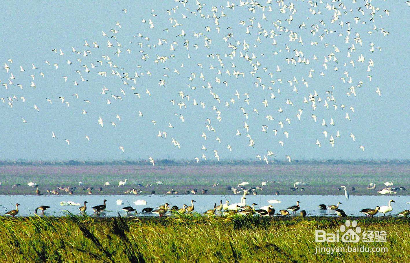 九江市周边好玩的人气旅游景点推荐