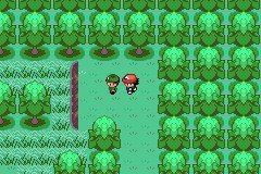 口袋妖怪圣灰攻略图片5