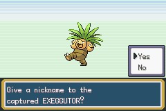 口袋妖怪圣灰攻略图片5