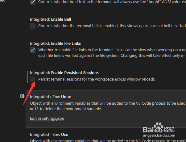如何启用Visual Studio Code持久会话