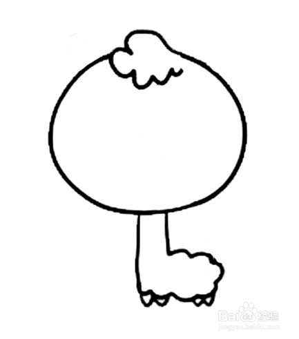 小羊驼简笔画 分步画法