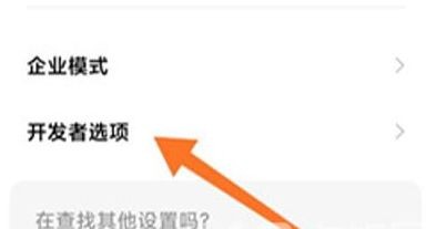 小米12开发者选项在哪里呢