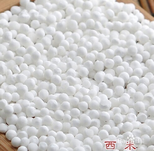 如果给肺做“清洁”---润肺化痰粥