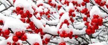 户外冬天该怎么样?