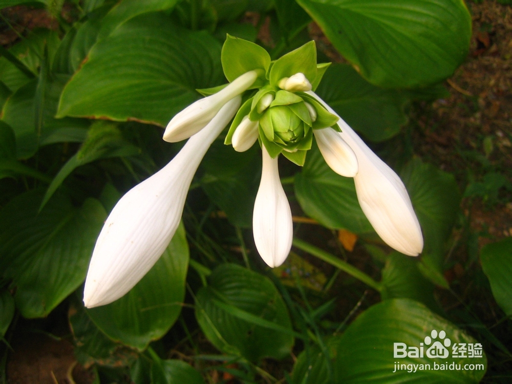 孩子的教育是潜移默化的