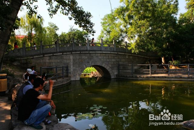 古城西安旅游之莲湖公园（西安莲湖公园在哪里）[图]