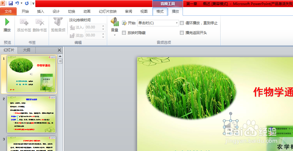 怎么给ppt插入全篇播放的音频？