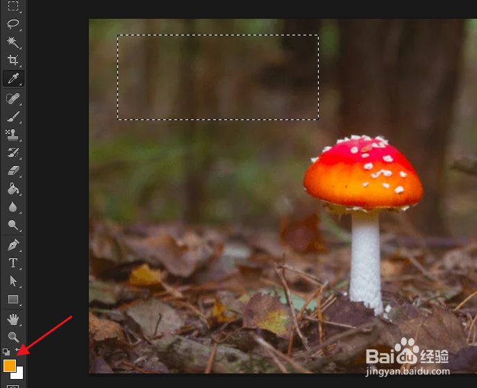 如何在 Photoshop 中复制颜色