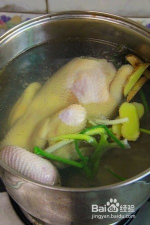 葱油鸡怎么做？最好吃的鸡肉做法教程
