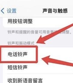 在哪设置苹果来电振动模式?