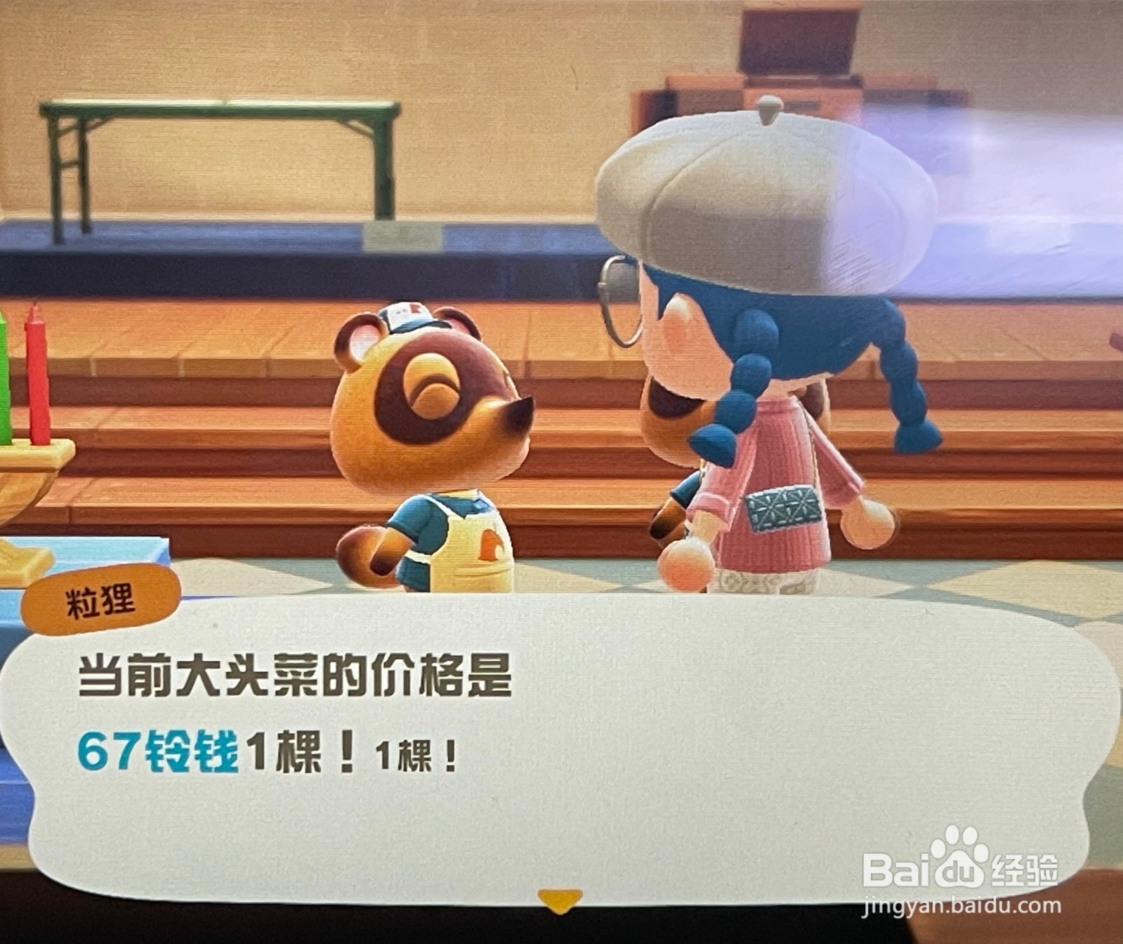 如何使用动森助手对大头菜价格进行预测