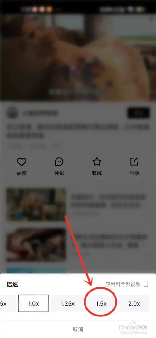 青桃如何设置倍速播放视频