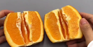 简单快速剥好橙子小方法