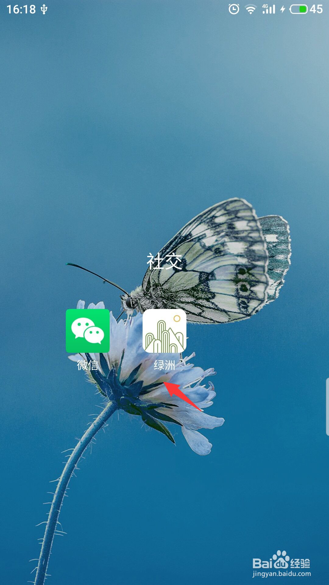 绿洲怎么进行意见反馈