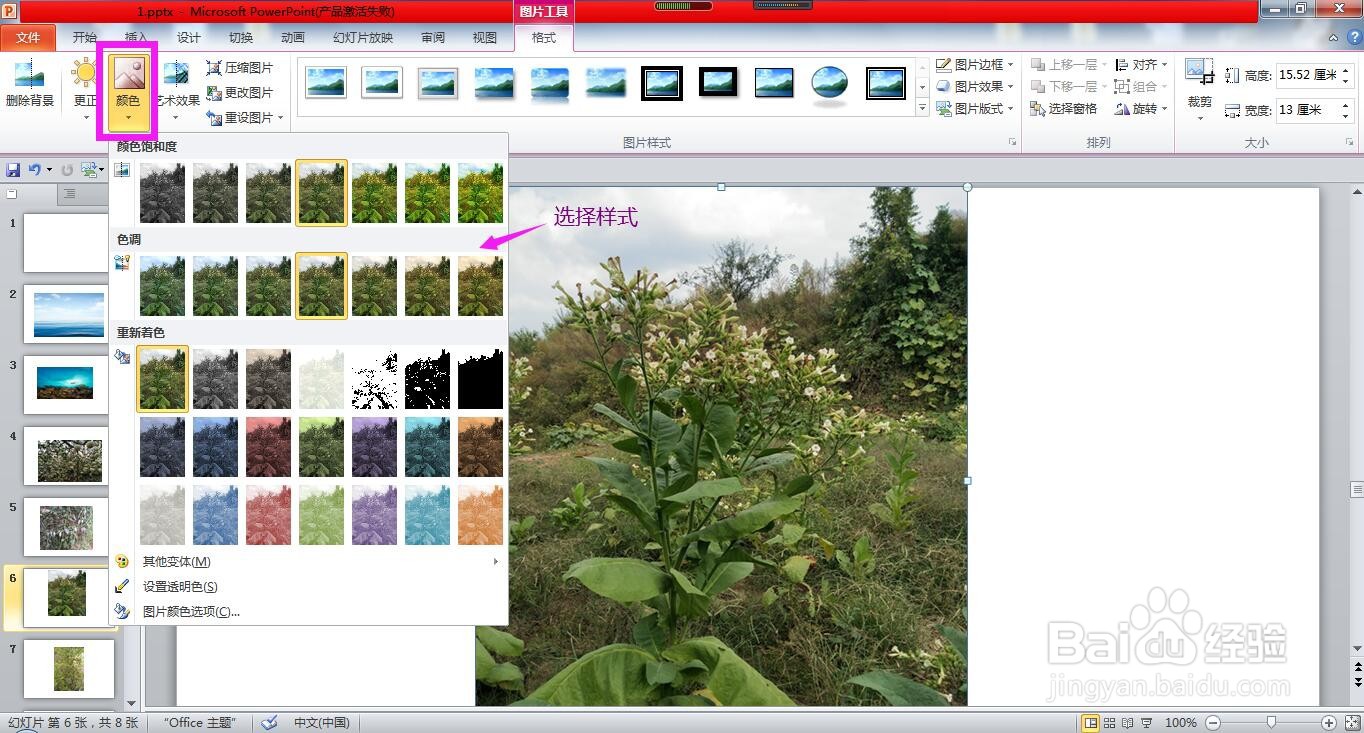 怎样使用PPT设置图片的样式