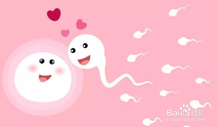 无精做试管婴儿要做哪些检查