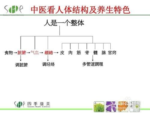 中医基础理论浅谈