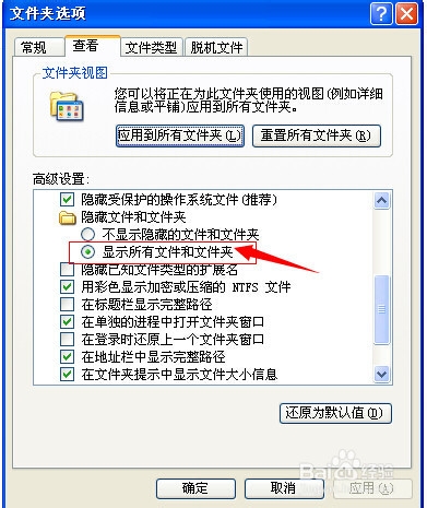 如何查看电脑中隐藏的文件和文件夹