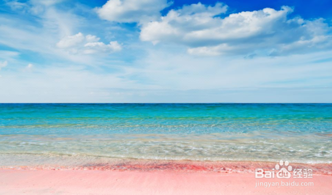 想去巴哈马旅游,有什么旅游攻略呢?