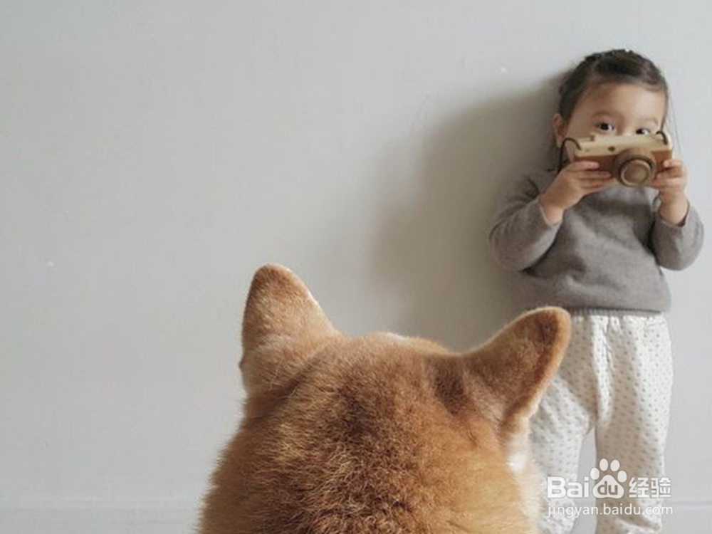 孩子要养宠物,是有害还是有益