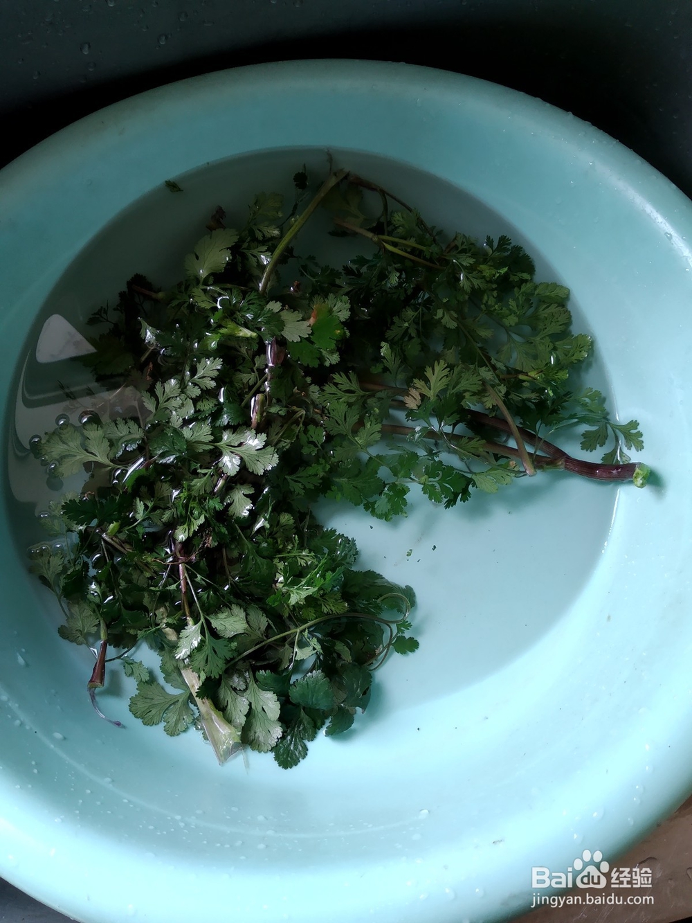 香菜涨蛋的做法