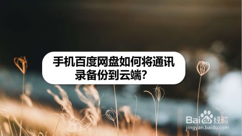手机百度网盘如何将通讯录备份到云端